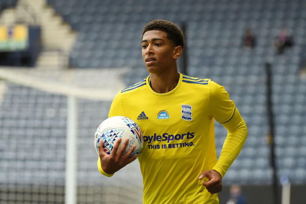 的手术刀 的手术刀