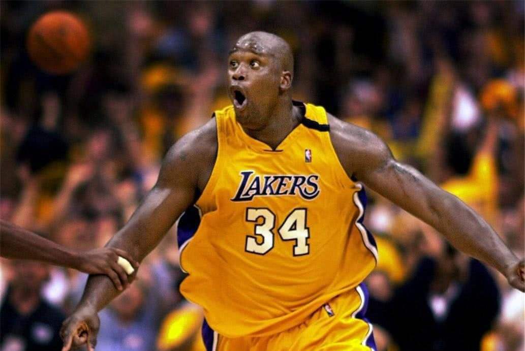 的阵容生态 的阵容生态