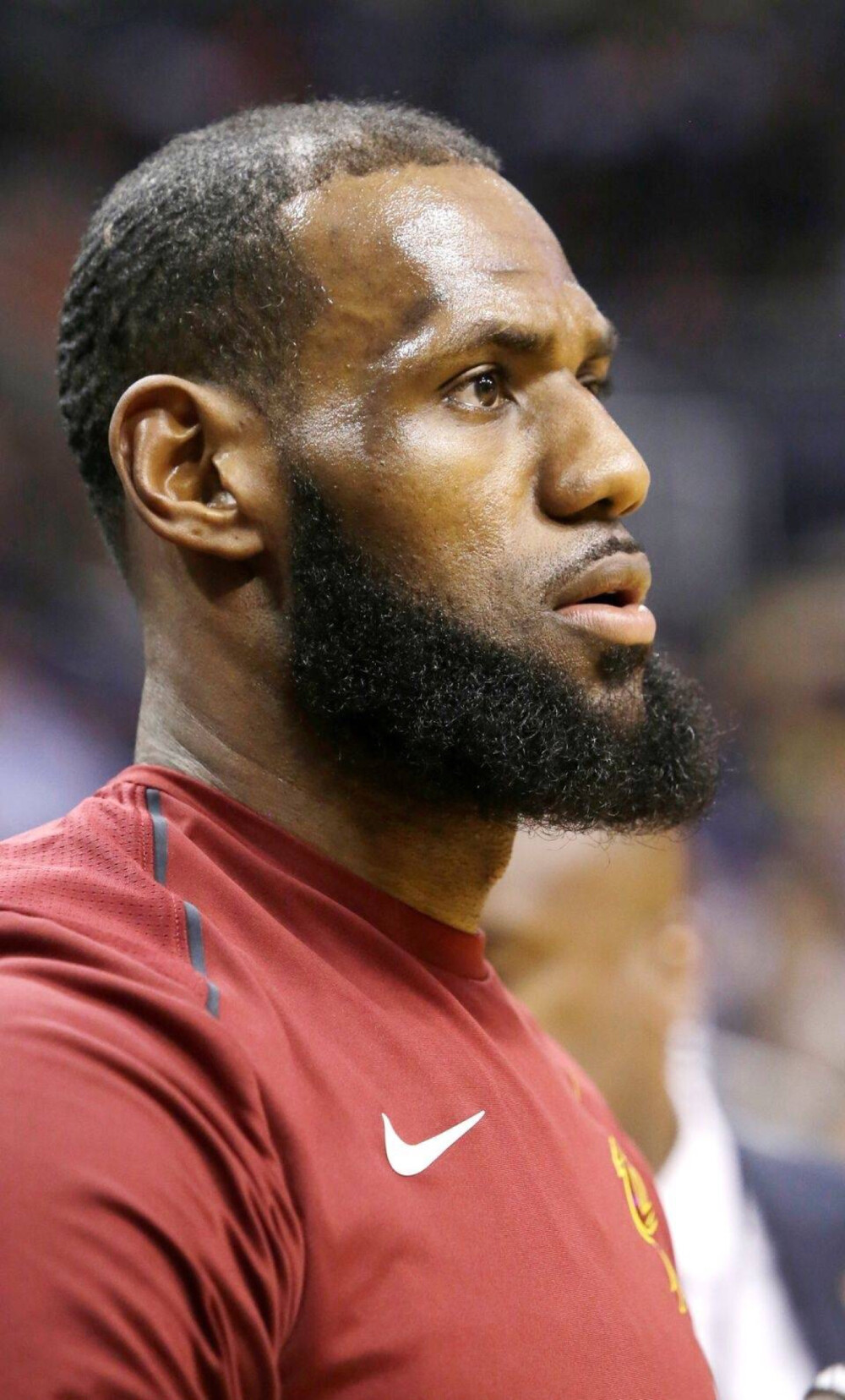 参与并形成 参与并形成