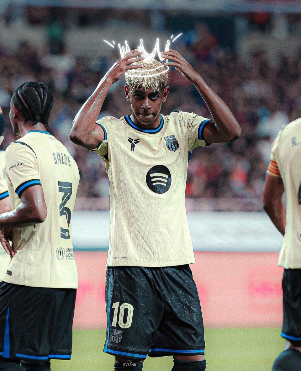 某头部厂商 某头部厂商